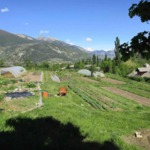  L'essaim : ferme du Villard